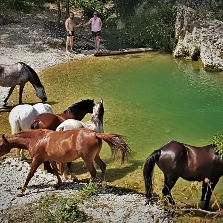 Ferme Equestre Les Coccinelles 팜스테이 Lurs