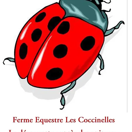 Ferme Equestre Les Coccinelles Lurs