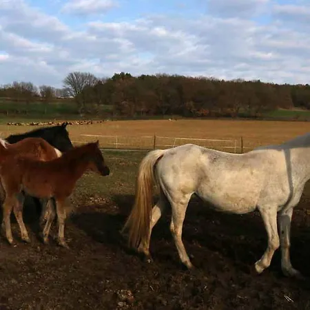 팜스테이 Ferme Equestre Les Coccinelles Lurs