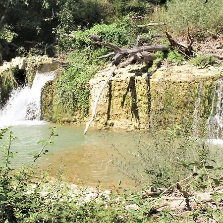 Ferme Equestre Les Coccinelles Alloggio per agriturismo