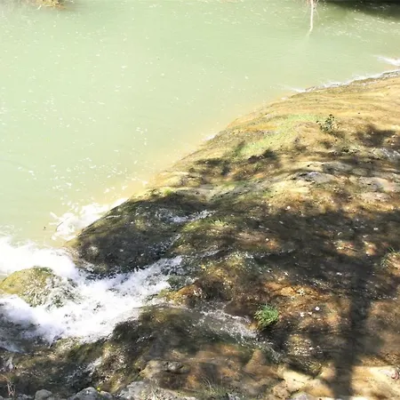 Ferme Equestre Les Coccinelles Lurs