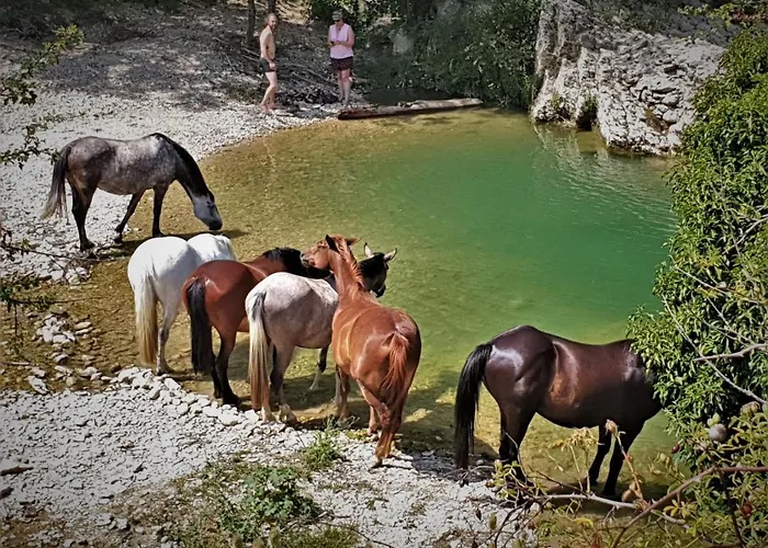 Ferme Equestre Les Coccinelles *