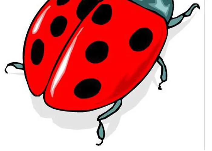 Ferme Equestre Les Coccinelles Lurs