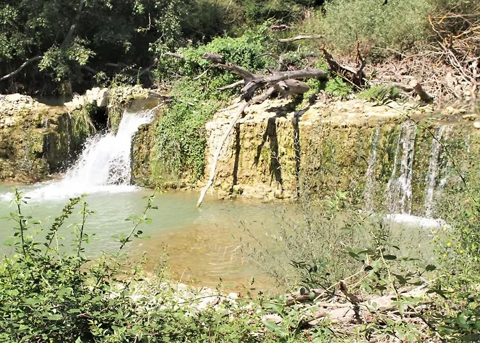 Ferme Equestre Les Coccinelles Séjour à la ferme