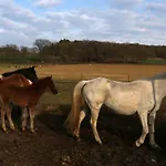 Farma Ferme Equestre Les Coccinelles Lurs