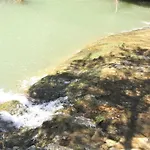 Ferme Equestre Les Coccinelles Lurs