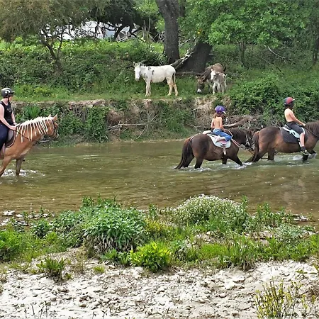Ferme Equestre Les Coccinelles Lurs