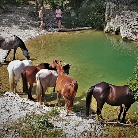 Ferme Equestre Les Coccinelles *