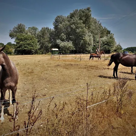 Ferme Equestre Les Coccinelles Agroturismo *