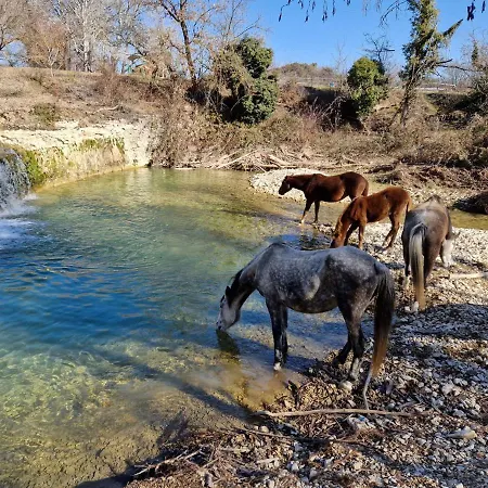 Ferme Equestre Les Coccinelles Lurs