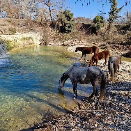 Ferme Equestre Les Coccinelles Lurs