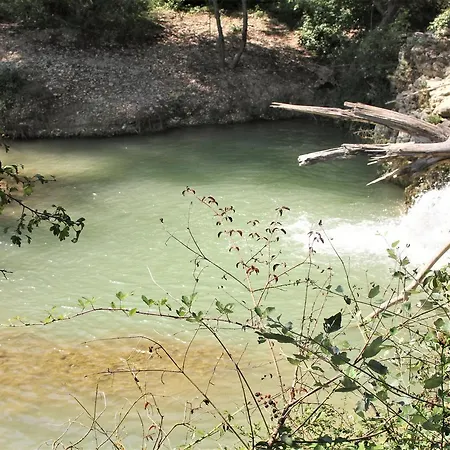 Ferme Equestre Les Coccinelles Lurs