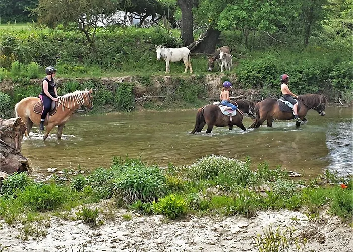 Ferme Equestre Les Coccinelles Lurs