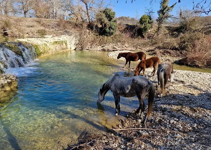 Ferme Equestre Les Coccinelles Lurs