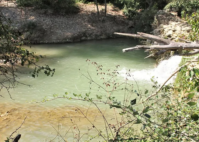 Ferme Equestre Les Coccinelles Lurs